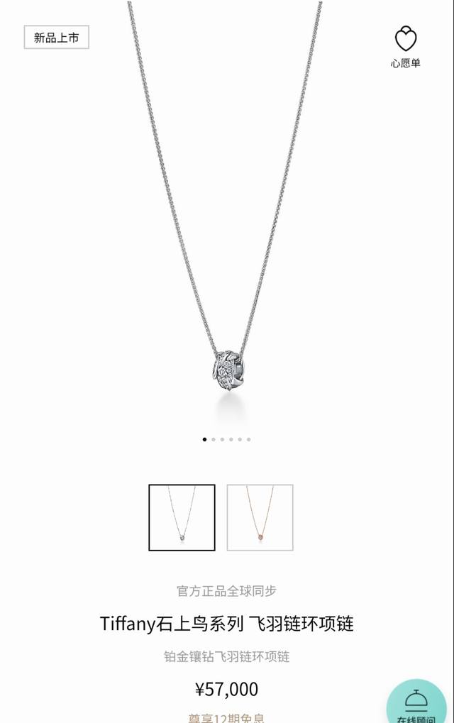 Tiff蒂芙尼项链石上鸟系列 飞羽链环项