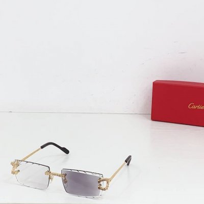 变色 Cartier mod Ct0604S size 142