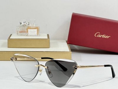 变色 Cartier mod Ct0399S size 62口15-145