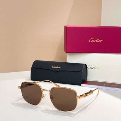 690Cartie*Model：Ct0485S Size: 48口21-145～