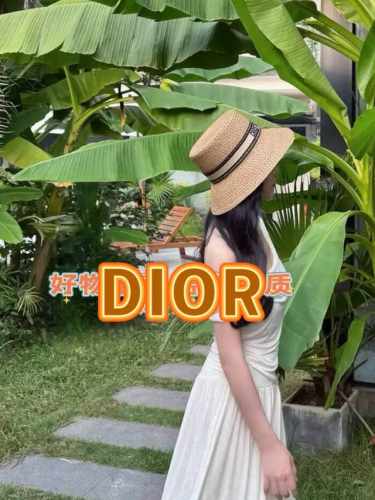Dior迪奥2025新款草帽女渔夫帽防晒遮阳帽草编拉菲草网纱帽时尚百搭显脸小