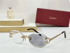 p210 Cartier mod：Ct0581S size：142