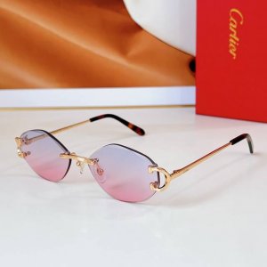 Cartier mod Ct0092O size 55口18 135