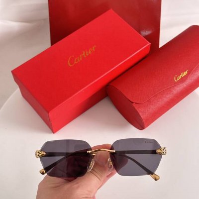 变色片 Cartie* Model：Ct0478S Size:57口18-140