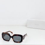 prada Model：Oprb23S Size：56口19-145