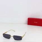 cartie*Model：Ct0544S Size: 48口21-145