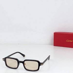 cartie* Model：Ct0539S Size: 49口22-145