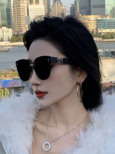 爱马仕 经典的方框设计 不挑脸型 无论搭配大衣还是连衣裙都非常显气质镜片预防紫外线 型号 H0101