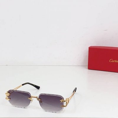 变色 Cartier mod Ct0540S size 140