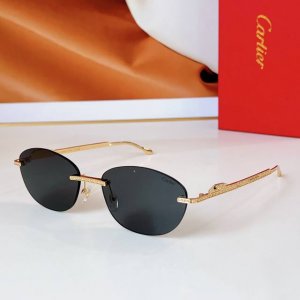 Cartier mod Ct0486S size 60口18 140