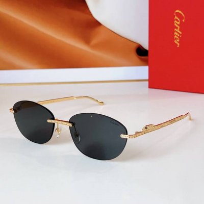 Cartier mod Ct0486S size 60口18 140