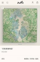 Shms2526 18姆米双面 90X90Cm斜纹真丝 爱马仕巴勒莫植物园