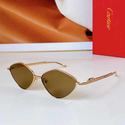 Cartier mod Ct0489S size 60口15 140