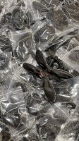 我们出品 香黑皮兔耳发绳 Z4980,可可爱爱的兔耳朵发绳，一眼就看中了这款！超可爱超级推荐！