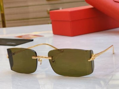 cartie* 卡地*亚新款太阳镜，Ct0503S，Size: 59口19-135