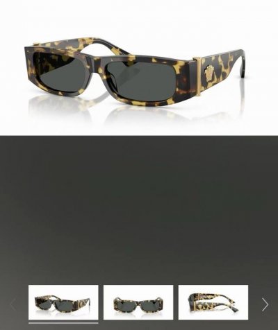 P200 官网图 Versac* Model：Ve 4476-U Size：55口16-135