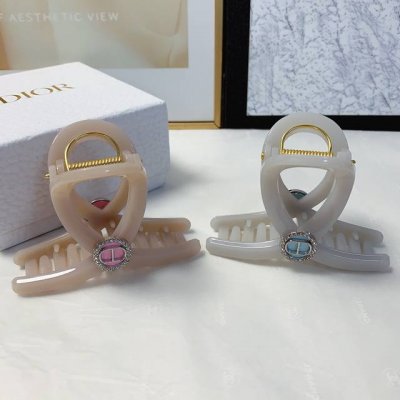 Dior迪奥 dior发夹 新款Logo抓夹 气质百搭 日常精致小单品 小仙女必入单品 宝藏款 闭眼入推荐款 单个