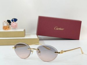 p180 Cartier mod：Ct0504S size：57口18 137 0310140