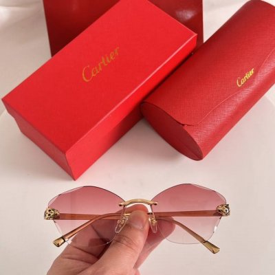 变色片 Cartie*Model：Ct0476S Size: 60口18-145