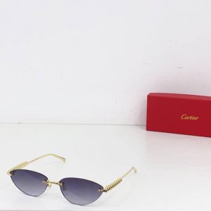 cartie* Model：Ct0543S Size: 48口21-145