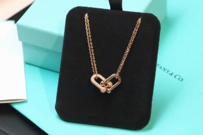 国庆出游季 Tiffany&Co.Hardwear系列U形双链环项链 主打的链条元素，时下比较流行的金属风格，摩登时髦。众多明星同款，精雕款哦！大家收到就会觉得