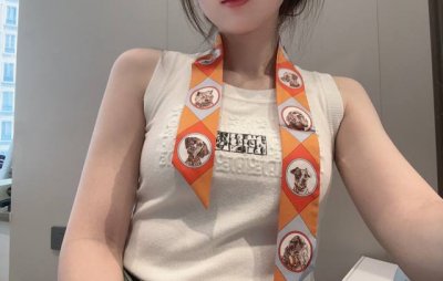 h上新，爱马仕丝巾，项圈与爱犬，18姆米重磅真丝斜纹绸，原单品质，5*86Cm