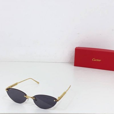 cartie*Model：Ct0543S Size: 48口21-145～