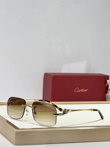 Cartier mod Ct0432S size 55口18 145