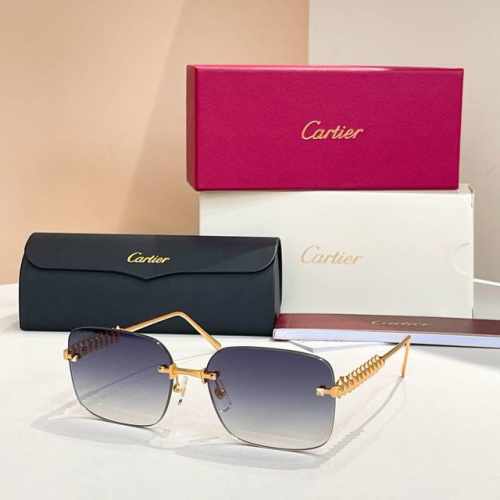 Cartie*Model：Ct0545S Size: 48口21-145～