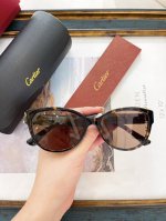 Cartie*Model：Ct0450S Size: 54口18-140