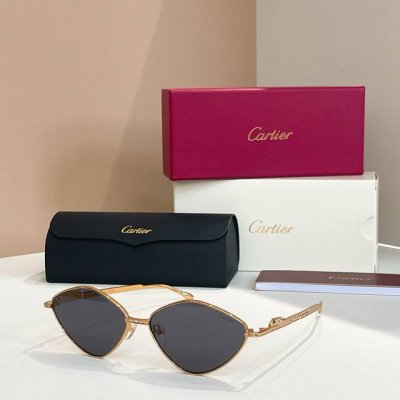 cartie*Model：Ct0489Ssize: 60口15-140