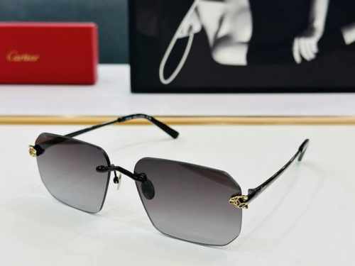 cartie* 卡家 Ct0503S 太阳镜 Size：60口17-145 工艺精湛气质十足！Q男女同款 高品质