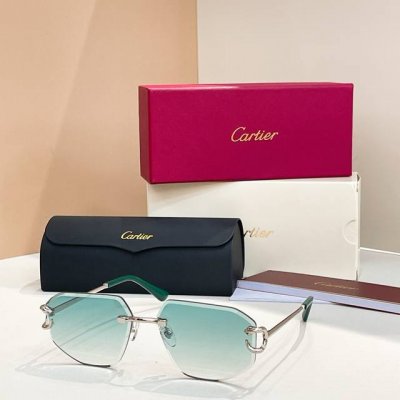 太阳镜 变色片 Cartie*Model Ct0634S