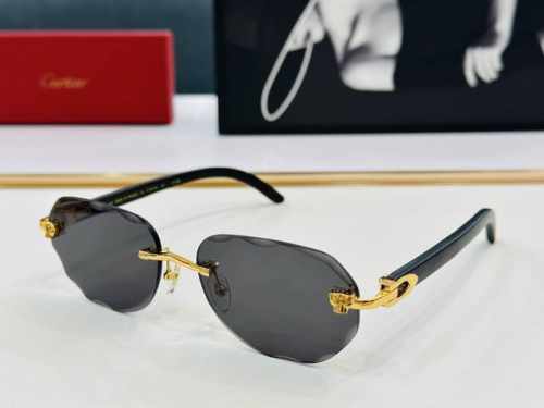 p180 原版Cartie* 卡家 官网经典款 太阳镜 Ct0610S Size：57口18-143 电镀工艺精湛大牌品 Xl戴起来气质十足！