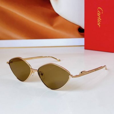Cartier mod Ct0489S size 60口15 140