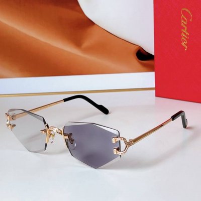 变色20 Cartie* Model：Ct0582S Size: 48口21-145