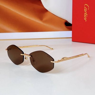 Cartier mod Ct0487S size 61口18 140