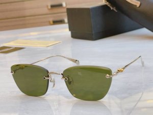 Chrome Heart* 克罗*心新款太阳镜，Model：9112，Size：52口22-142