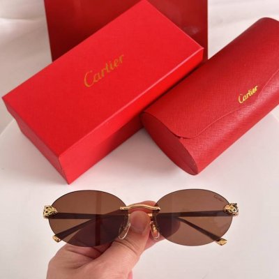 变色片 Cartie*Model：Ct0475S Size: 60口18-140