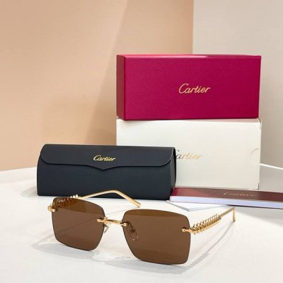 Cartie*Model：Ct0545S Size: 58口17-140