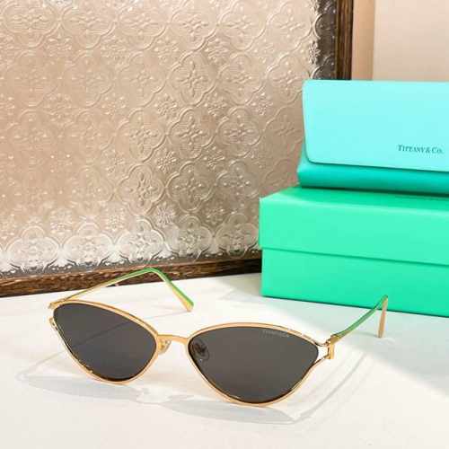 p150 Tiffany&Co.Model：Tf3095 Size：61口16-135