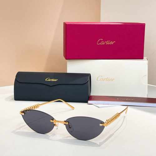 Cartie*Model：Ct0543S Size: 48口21-145～