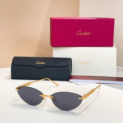 Cartie*Model：Ct0543S Size: 48口21-145～