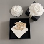 我们出品 香满钻麦穗胸针 ZP4700 香奈儿经典元素除了双C山茶花香水No5之外就是 麦穗 了 高级手工坊系列里面 这枚金光闪闪人见人爱的麦穗胸针 真的是超难