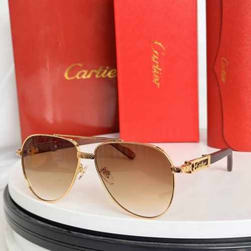 Cartie*Model：Ct1149S Size: 59口14-145