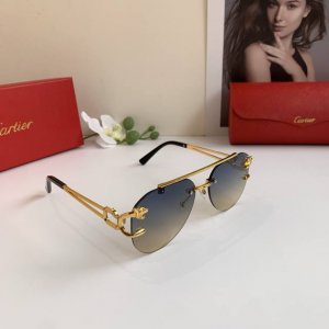 Cartier卡地亚 新款高端金属眼镜 时尚帅气潮流墨镜户外驾驶旅游太阳镜！