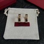 Valentino 华伦天奴 耳环重磅新品火爆网络来了 简约大方 时尚百搭