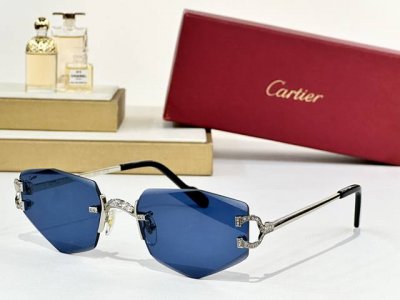 Cartier Mod：Ct0582S Size：142