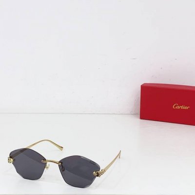 变色 不变色 Cartie* model Ct0476S size:54口18-140