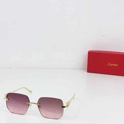 Cartie* Model：Ct0551S Size：57□16-135